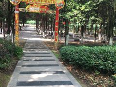 -白马涧龙池景区