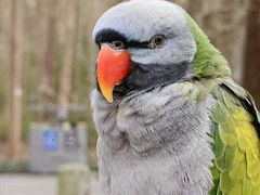 -昆山城市生态森林公园