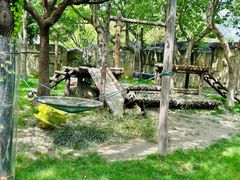 -上海野生动物园