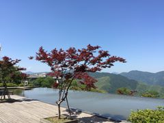 -江南天池