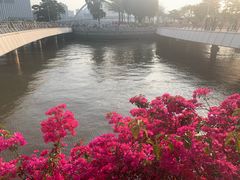 -海心沙亚运公园