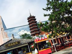 -青岛方特梦幻王国
