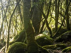 -冕宁灵山寺