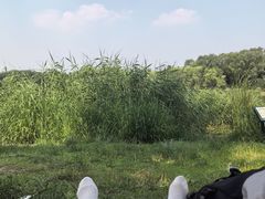 -北坞公园