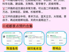 -王婆婆老妈蹄花川菜馆·非物质文化遗产(太古里一店)