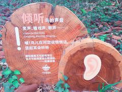 -华侨城湿地公园