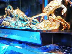 -金翠皇宫粤菜·点心·海鲜(科技园店)