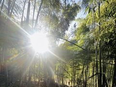 -四明山国家森林公园
