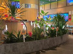 -润园四季椰子鸡火锅(南山海岸城店)