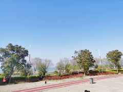 -西京湾花海