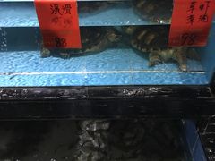 -渔傅·蓝海岸霞浦海鲜(正祥店)