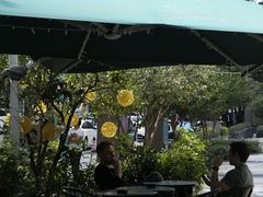 -街角 T·COFFEE 融合料理·BISTRO(车公庙店)