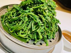 -金春禧(世茂国际广场店)