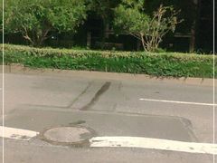 -杭州陶瓷品市场·景青陶瓷有限公司