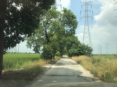 -太阳岛度假酒店