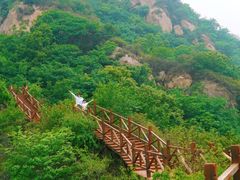 -大岭沟猕猴桃谷风景区