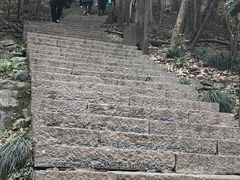 -紫金山天文台