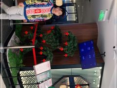 -新白鹿餐厅(虹桥南丰城店)