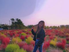 -映月湖中央公园