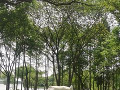 -渤公岛生态公园