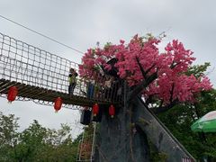 -天适樱花悠乐园