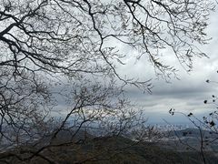 -灵顺寺