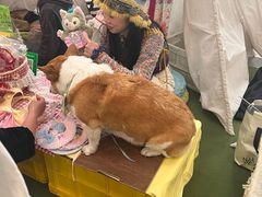 -凯德广场(武胜路店)