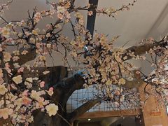 -莫山小馆(百花店)