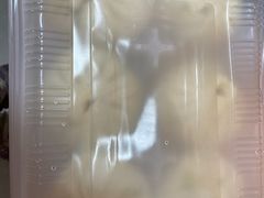 -和善园手工包子(永吉路店)