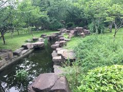 -范蠡湖公园