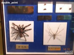 -上海昆虫博物馆