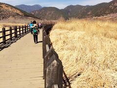 -泸沽湖国家级风景名胜区走婚桥