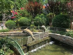 -南宫五洲植物乐园