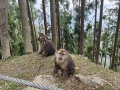 -太阳湾风景区