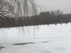 -二一九公园