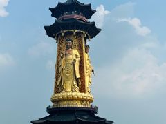 -溱湖国家湿地公园