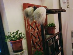 -探花·意境江南菜·唐伯虎文化体验店·松鼠桂鱼(观前店)