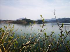 -望湖烤鱼