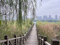 -洋湖国家湿地公园