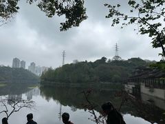 -重庆彩云湖湿地公园