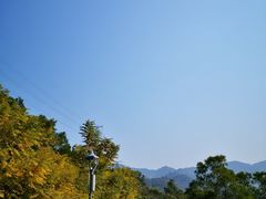 -金鸡山公园