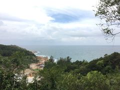 -广东惠东海龟国家级自然保护区