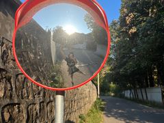 -上海佘山国家森林公园天马山园