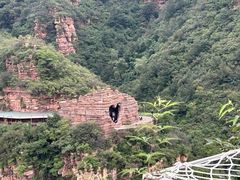 -爱情山风景区