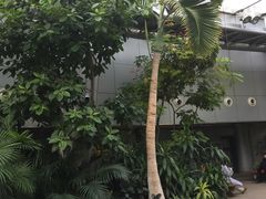 -北京植物园-展览温室