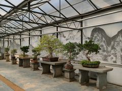 -石家庄市植物园