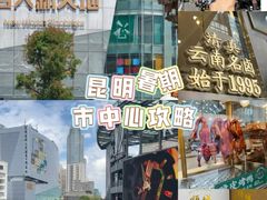 -顺城金记卤鸡·清真