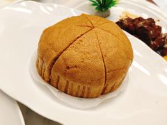 -老绍兴养和饭店(向阳不夜城店)