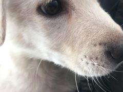 -宠颐生中康贝怡动物医院