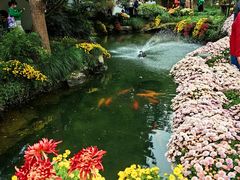 -杭州植物园
